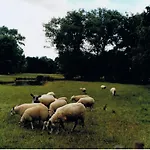 De Mankemerrie Landhuisvilla * Mellet