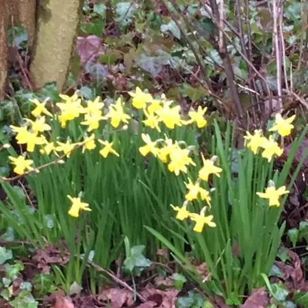 Villa De Mankemerrie Landhuisvilla *