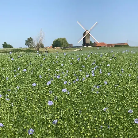 Βίλα De Mankemerrie Landhuisvilla *