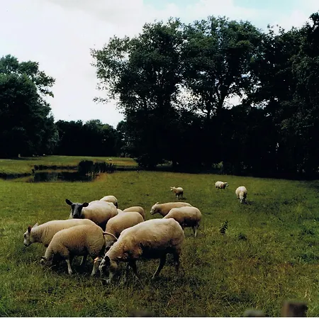 De Mankemerrie Landhuisvilla * Mellet